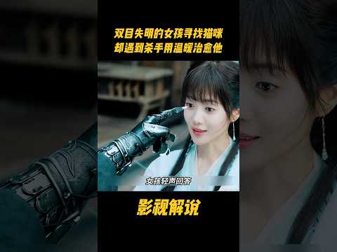 双目失明的女孩寻找猫咪，却遇到杀手用温暖治愈他#电视剧 #影视解说