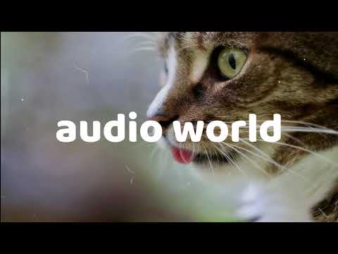 END OF AN ERA - YAYWE x Aton x TøxikLive x Mestxr  (copyright free music)