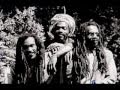 israel vibration - Brothers Keeper