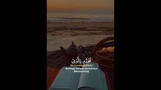 Download lagu story wa 30 detik sholawat mp3