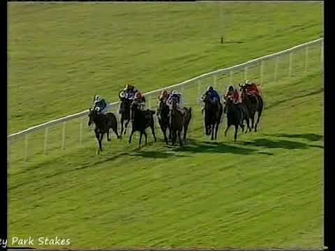 1996 Cheveley Park Stakes Pas De Response