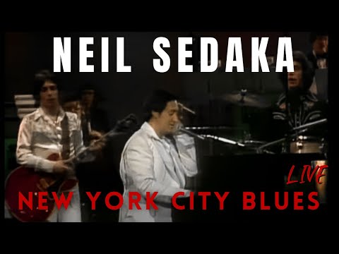 Video thumbnail for New York City Blues