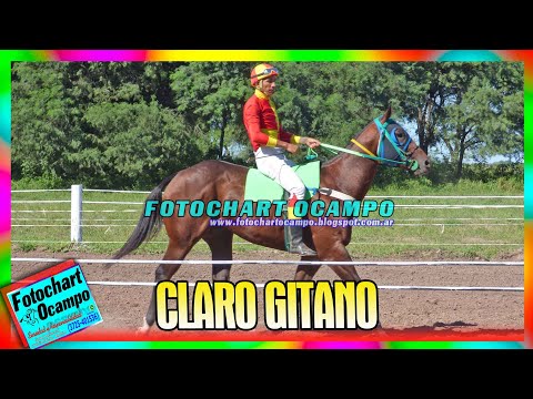 CLARO GITANO - Tres Isletas - Chaco 27/03/2022