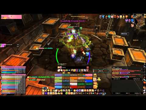 A Necessary Evil vs Spoils of Pandaria (25 Heroic - Holy Paladin PoV)