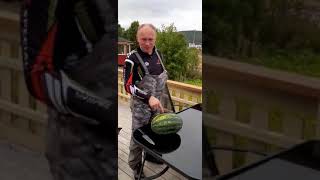 Наши арбузы в Норвегии