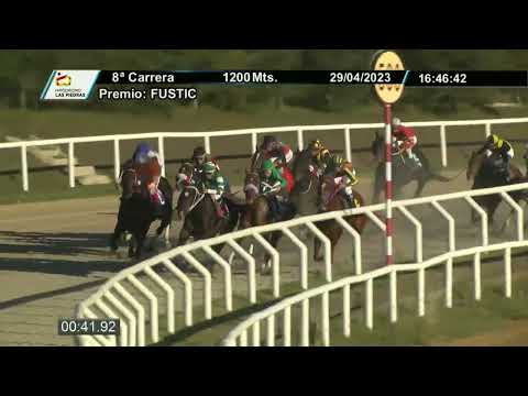 230429 c08 - EXPRESSIVO SALTO (BRZ) - HIPODROMO LAS PIEDRAS