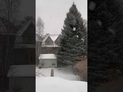 Schon wieder ein Schneesturm #kael #toronto