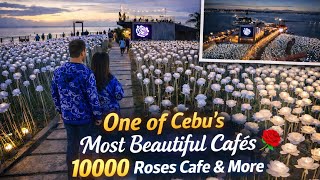 10000 Roses Cafe &amp; More 🌹 | Aesthetic Night Experience