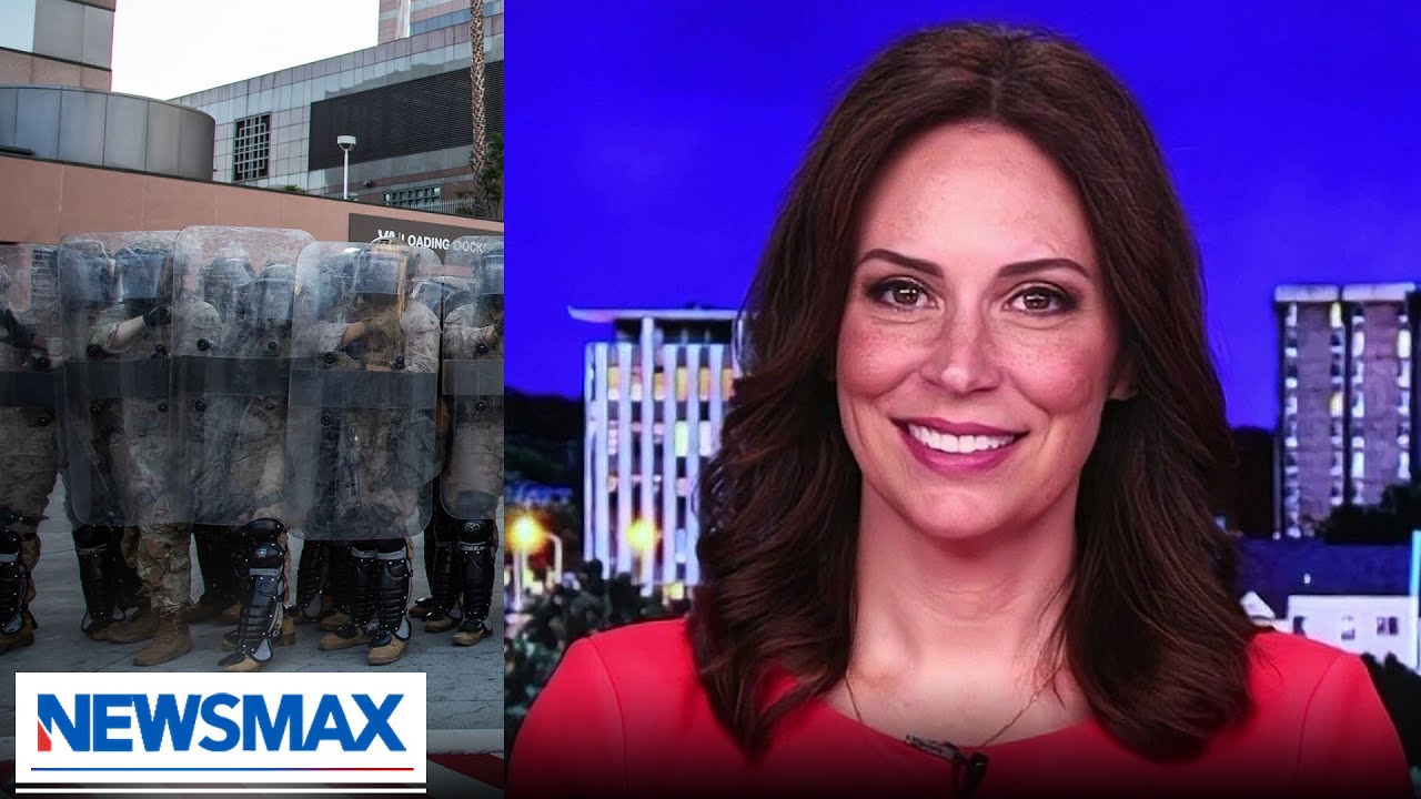 Chicago ICE operation is what American people want, voted for: Tudor Dixon | Newsline