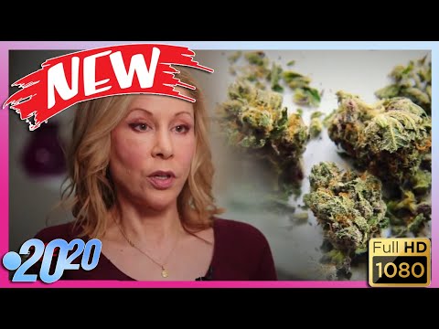 20/20 ABC New Season 2021 🌺🌿 Catch Me If You Can 🌺🌿 20/20 Full Episodes 2021