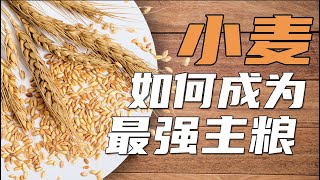 [問卦] 台灣為何說蒙古烤肉自己發明的？