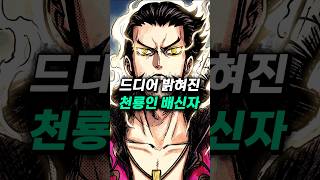 [ 원피스1181화 분석 ] 드디어 밝혀진 천룡인의 배신자 역사상 가장 강했던 천룡인