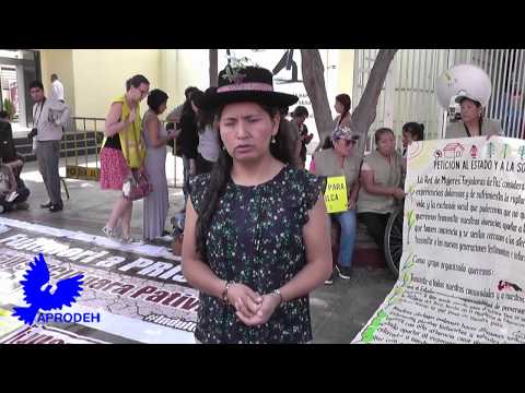 Entrevista a Tania Pariona - Audiencia Caso Pativilca
