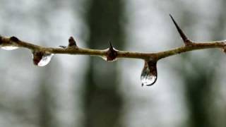 Haces llover. Diego Martín y Malú