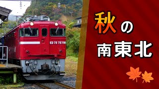 【鉄道旅】TR Diary #10 列車で行く、秋の南東北【CoeFont】
