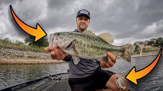 Koe Wetzel's Merch Guy Helps Me Break Down The Home Pond | Quick Swimjig & Fluke HItter