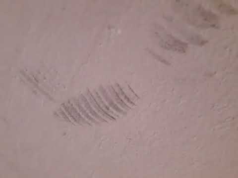 HAUSFLUR VOLLER SPUCKE, BLUT, DEFEKTE TREPPENFLIESEN, RISSE AN DEN WÄNDEN UND DECKEN - VIDEO -19 -