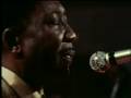 I Am The Blues - Muddy Waters Live 1971 (Monroe)