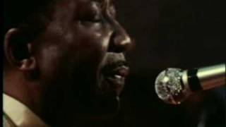 I Am The Blues - Muddy Waters Live 1971 (Monroe)