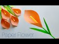 Easy Paper Flower Paper Tulip Flower Paper Craft