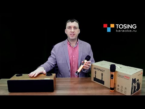Караоке система для дома Jonsen PRO ARTIFACT | Колонка с двумя микрофонами для караоке