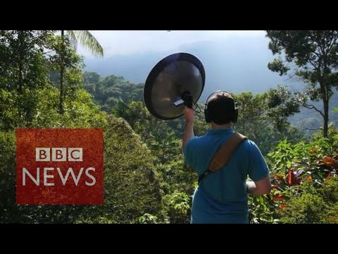 Vídeo de Youtube