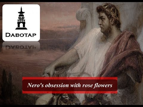 (Dabotap/Story) Nero's obsession with rose flowers