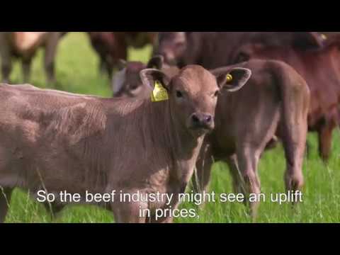 Brexit Roadshows - Key Message