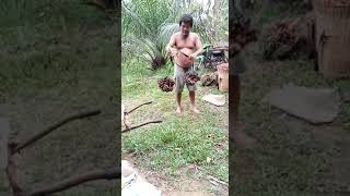 Download lagu Lucu latto latto buah sawit bikin ngakak #lucu #viral #ngakak #wongborneo88 #shorts mp3