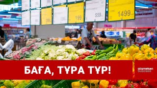 Мереке алдында түркімен көкөнісін келтірудің жасыл ділізі құрылды