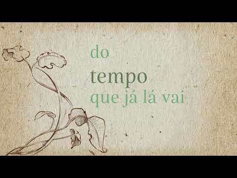 ADELAIDINHA | Sara Vidal