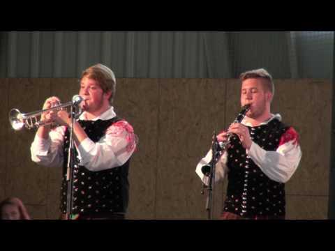 Ansambel Jug - Plešiva do jutra (v živo)