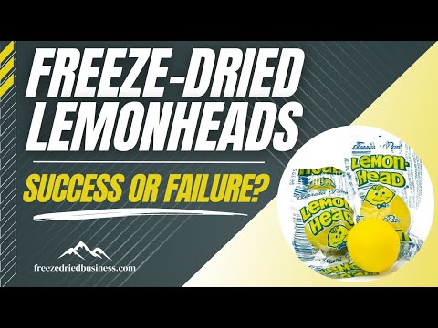 Here is What Happens When You Freeze-Dry Lemonheads | How To Freeze-Dry Candy -Freeze Dried Business