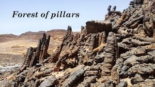 Forest of pillars, Sinai, Egypt, Desert,