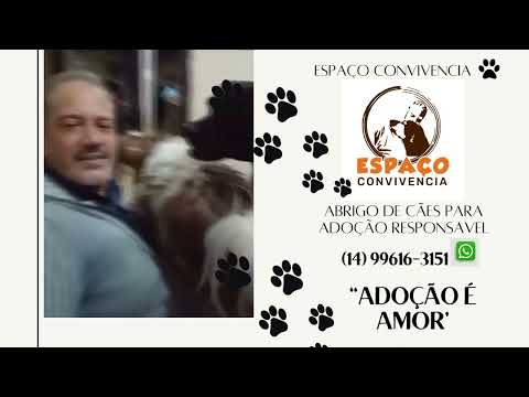 Rádio e Televisão Web Gospel Brasil sua sintonia com a verdade de Deus