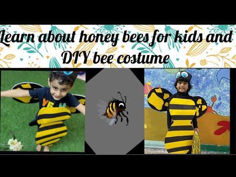 , title : 'Learn about HONEY BEES with fun and in easy way  // DIY bee costume for kids school costume day //'