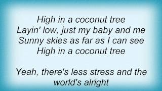 Kenny Chesney - Coconut Tree Lyrics