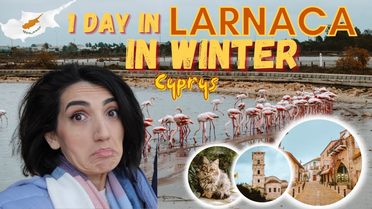 Larnaca in winter Cyprus: Lazarus Church, Beach, Larnaca Castle, Flamingos on the Salt Lake and more