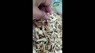 Dry Oyster Mushroom - Farmpreneur Farmers
