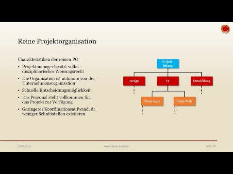 reine Projektorganisation - 👨🏼‍🎓 EINFACH ERKLÄRT 👩🏼‍🎓
