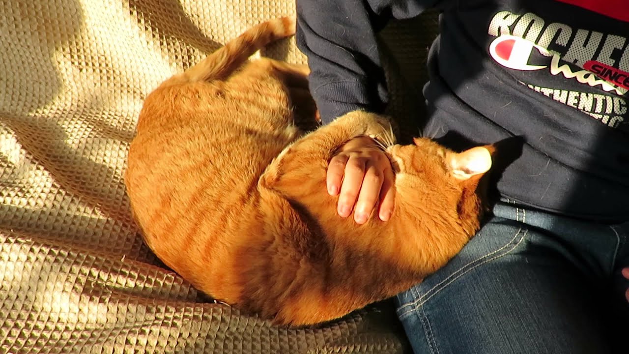 リョウガと遊ぶまお