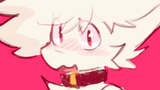 call me puppy once more..