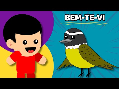 PASSARINHO BEM-TE-VI - Animadinhos (Música Infantil)