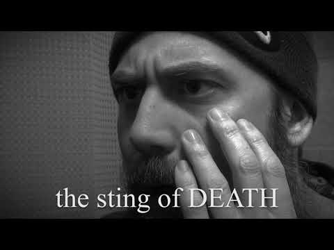 The Curse of SIN 🎵MUSIC VIDEO🎵