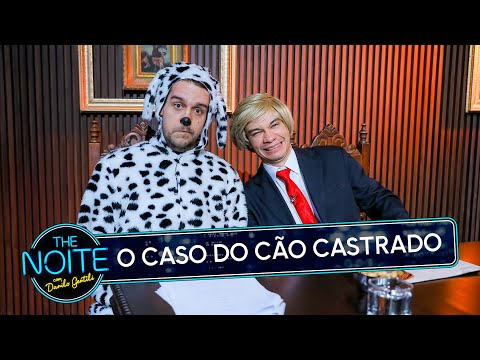 A Courtroom Show - A Dog's Life | The Night (05/20/25)