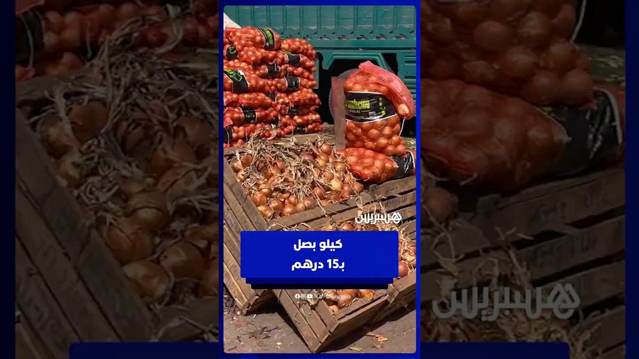 أسعار البصل تشتعل في المغرب   الكيلو بـ15 درهم وباعة يفسرون thumbnail