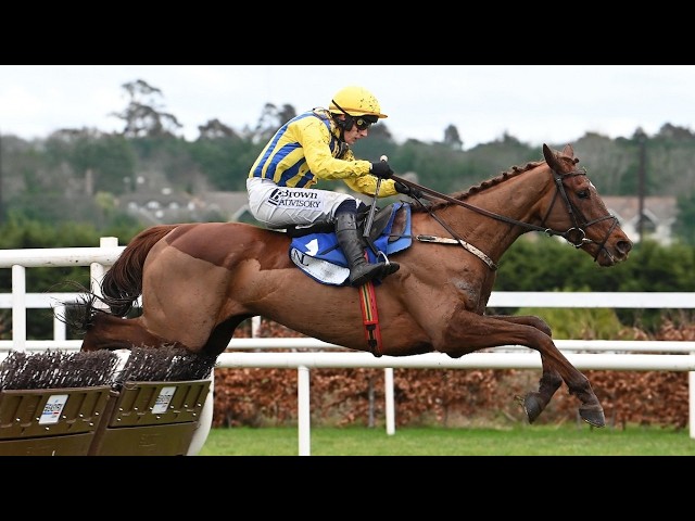 Thumbnail for Post ID: T1lciCiYhSc