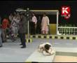 Sindhi Songs