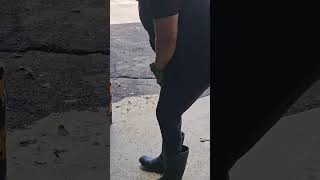 Video preview image #1 Shih Tzu-Unknown Mix Puppy For Sale in Virginia Beach, VA, USA