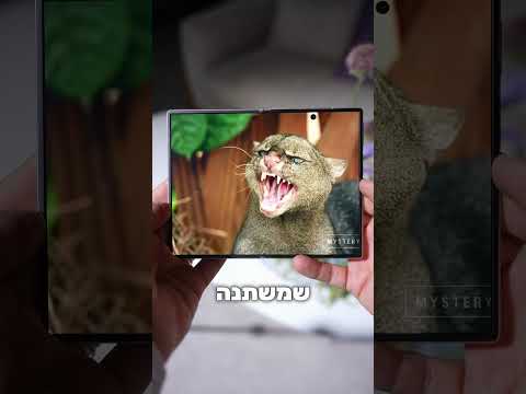 המתקפל הכי מדוייק שראיתי! | Fold 8